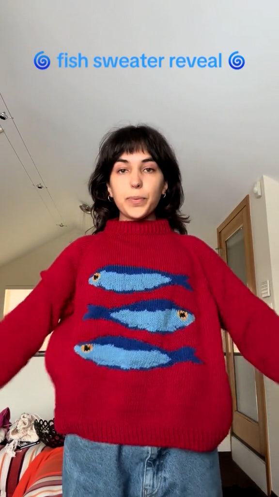 Fish Sweater - Klasseva USA