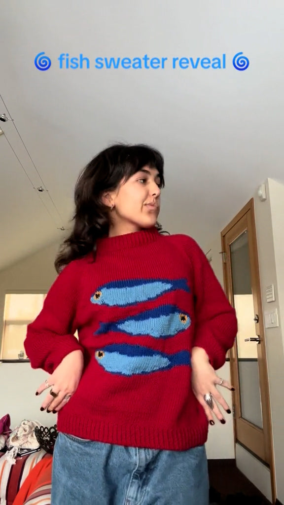 Fish Sweater - Klasseva USA